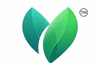 Nouriqo